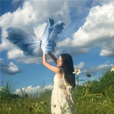 这是什么鬼